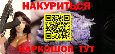 гашик Кингисепп