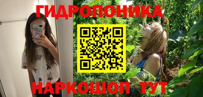 спиды Кинель