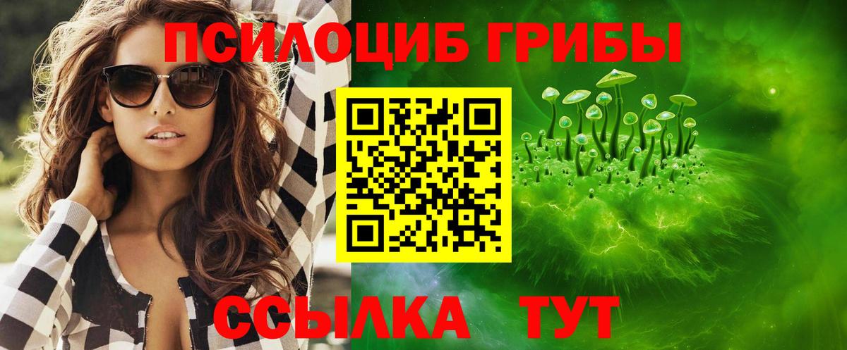 Галлюциногенные грибы MAGIC MUSHROOMS  Вход с VPN  цена наркотик  Кувандык 